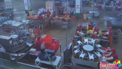 “小泡菜”撬动“大财产” 金刚山让延边泡菜喷